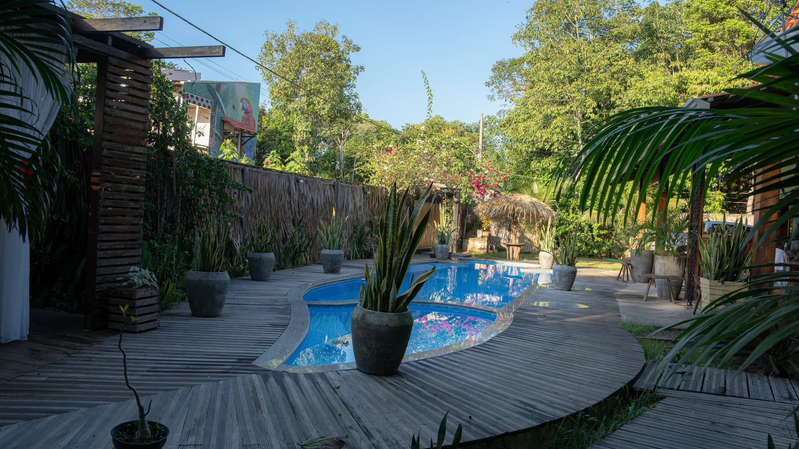 Piscina cercada por jardim tropical e deck de madeira em manhã ensolarada