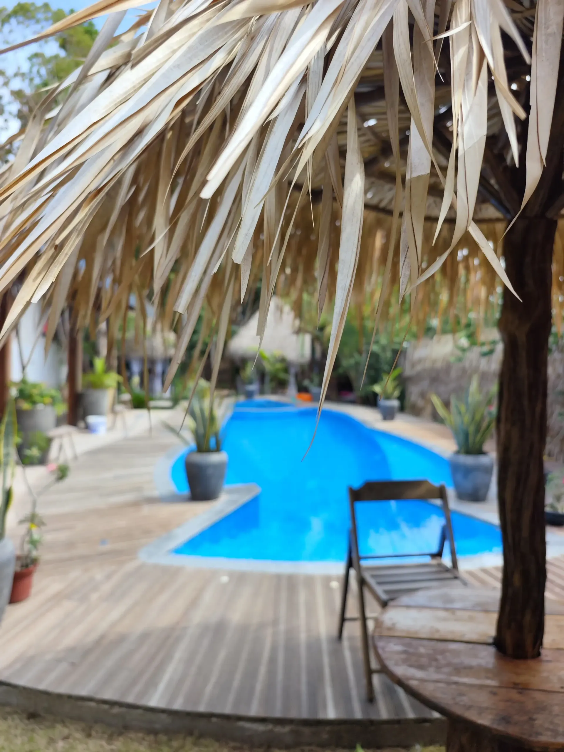 Piscina vista por baixo de uma cobertura de palha, com deck de madeira e vasos de plantas